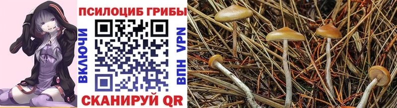 ссылка на мегу рабочий сайт  Саянск  Псилоцибиновые грибы Psilocybine cubensis 