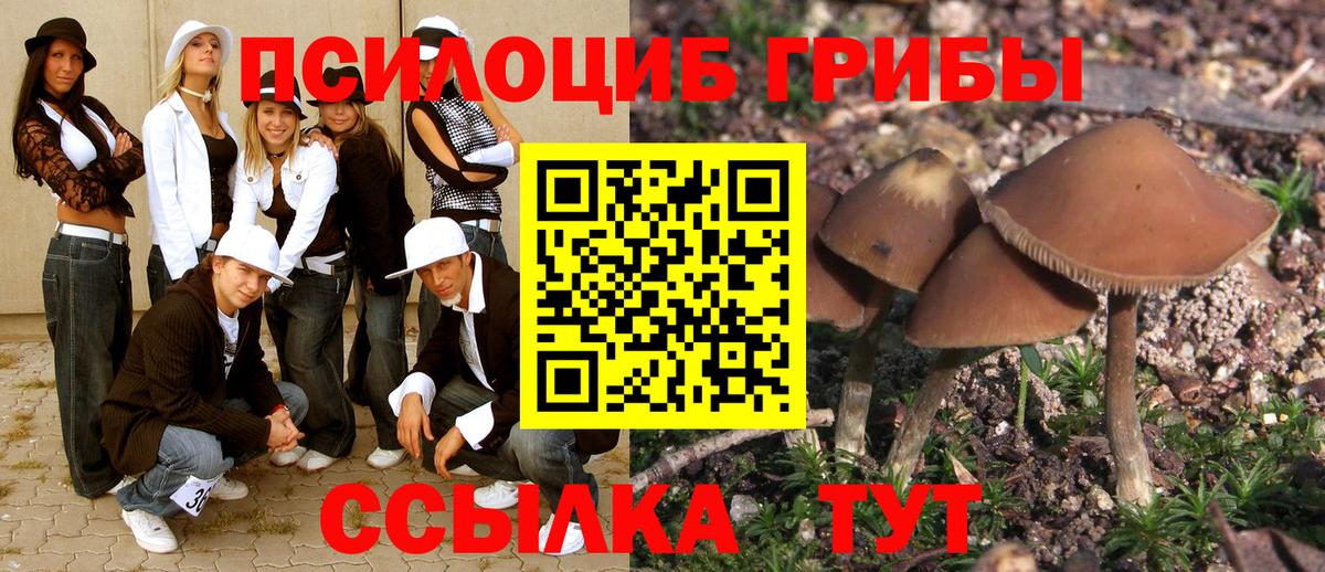 купить наркоту  Вход с VPN  Саянск  Галлюциногенные грибы GOLDEN TEACHER 